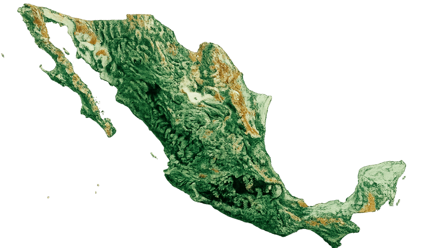 Mapa de presencia operativa de OXY en México
